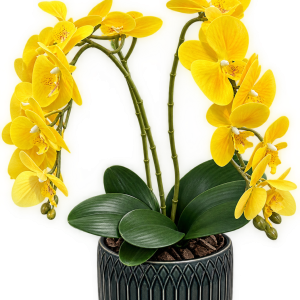 Orquídea Amarela em Vaso Decorativo