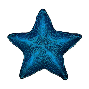 PETISQUEIRA DE ACRILICO ESTRELA DO MAR AZUL 39X39 CM